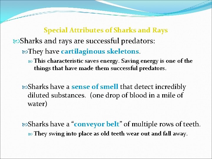 Special Attributes of Sharks and Rays Sharks and rays are successful predators: They have