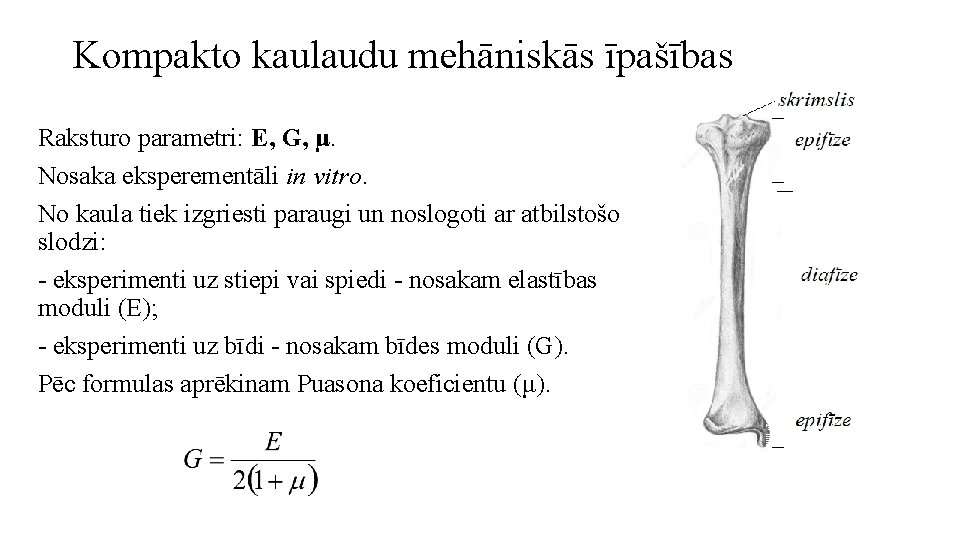 Kompakto kaulaudu mehāniskās īpašības Raksturo parametri: E, G, μ. Nosaka eksperementāli in vitro. No