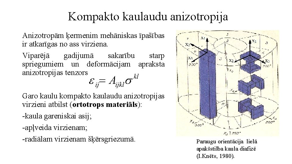 Kompakto kaulaudu anizotropija Anizotropām ķermenim mehāniskas īpašības ir atkarīgas no ass virziena. Viparējā gadijumā