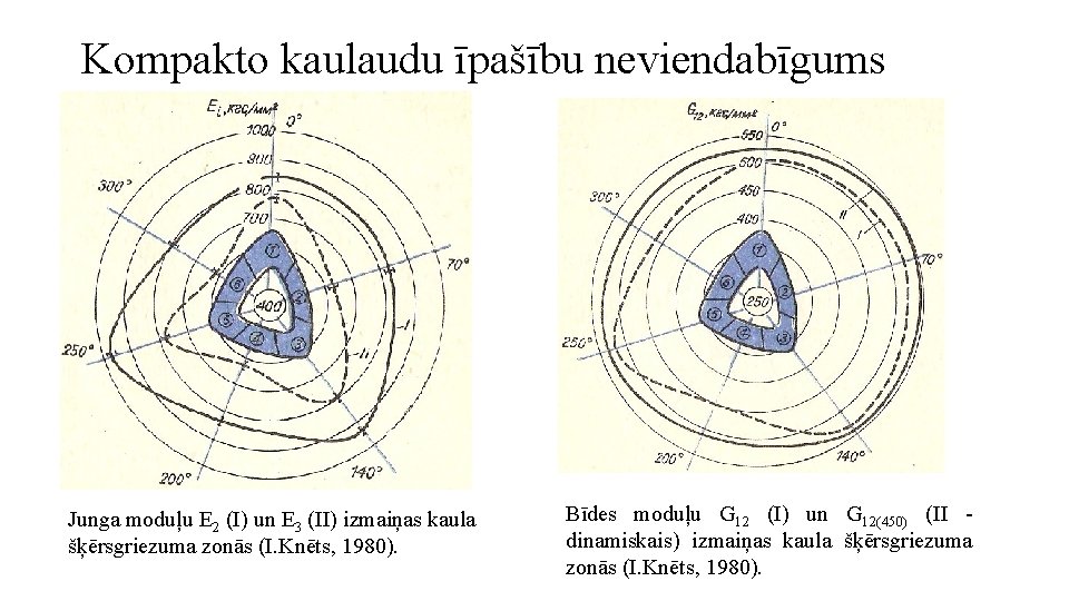 Kompakto kaulaudu īpašību neviendabīgums Junga moduļu E 2 (I) un E 3 (II) izmaiņas