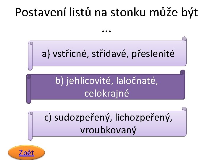 Postavení listů na stonku může být. . . a) vstřícné, střídavé, přeslenité b) jehlicovité,