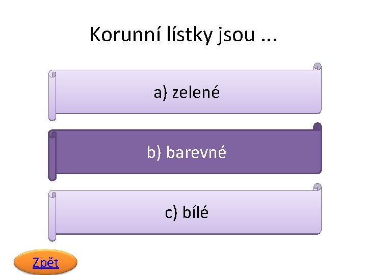 Korunní lístky jsou. . . a) zelené b) barevné c) bílé Zpět 