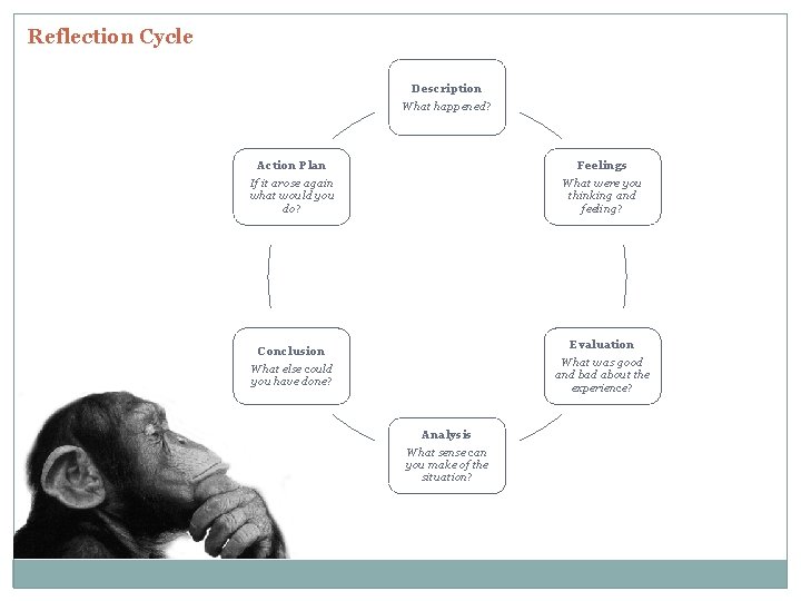 Reflection Cycle Description What happened? Action Plan If it arose again what would you