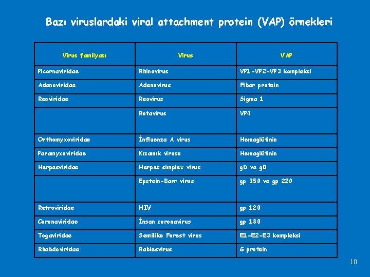 Bazı viruslardaki viral attachment protein (VAP) örnekleri Virus familyası Virus VAP Picornaviridae Rhinovirus VP