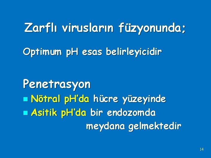 Zarflı virusların füzyonunda; Optimum p. H esas belirleyicidir Penetrasyon Nötral p. H’da hücre yüzeyinde