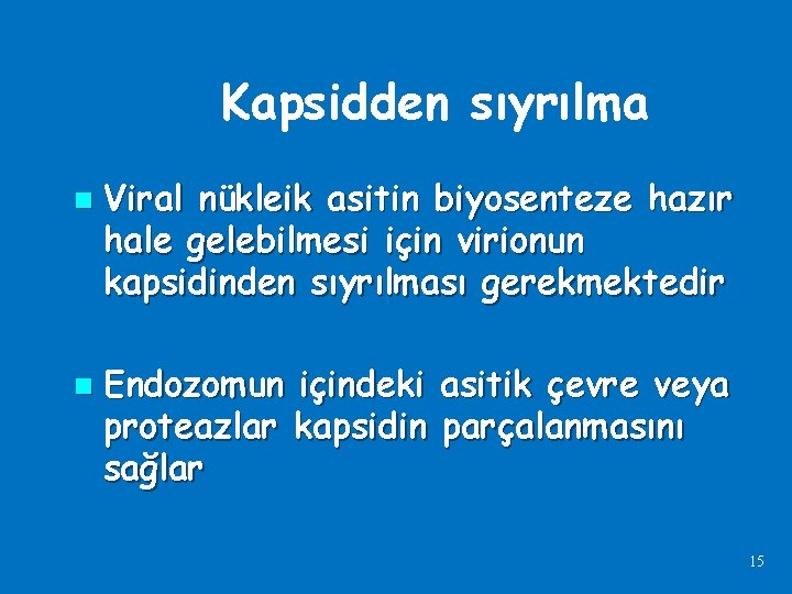 Kapsidden sıyrılma n n Viral nükleik asitin biyosenteze hazır hale gelebilmesi için virionun kapsidinden