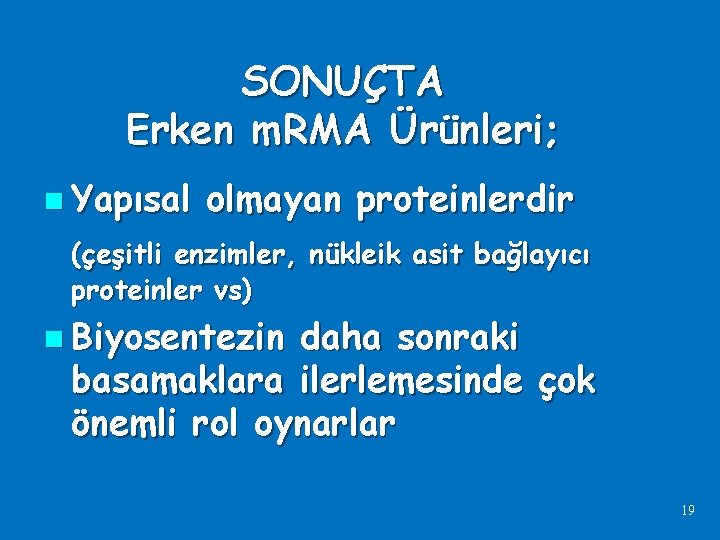 SONUÇTA Erken m. RMA Ürünleri; n Yapısal olmayan proteinlerdir (çeşitli enzimler, nükleik asit bağlayıcı