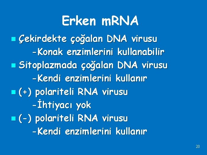 Erken m. RNA Çekirdekte çoğalan DNA virusu -Konak enzimlerini kullanabilir n Sitoplazmada çoğalan DNA