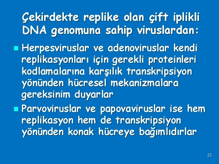 Çekirdekte replike olan çift iplikli DNA genomuna sahip viruslardan: Herpesviruslar ve adenoviruslar kendi replikasyonları