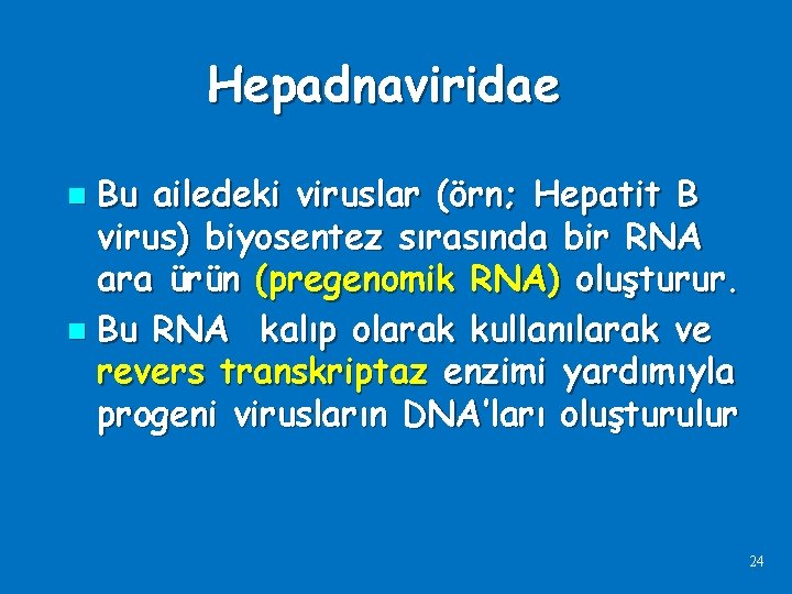 Hepadnaviridae Bu ailedeki viruslar (örn; Hepatit B virus) biyosentez sırasında bir RNA ara ürün