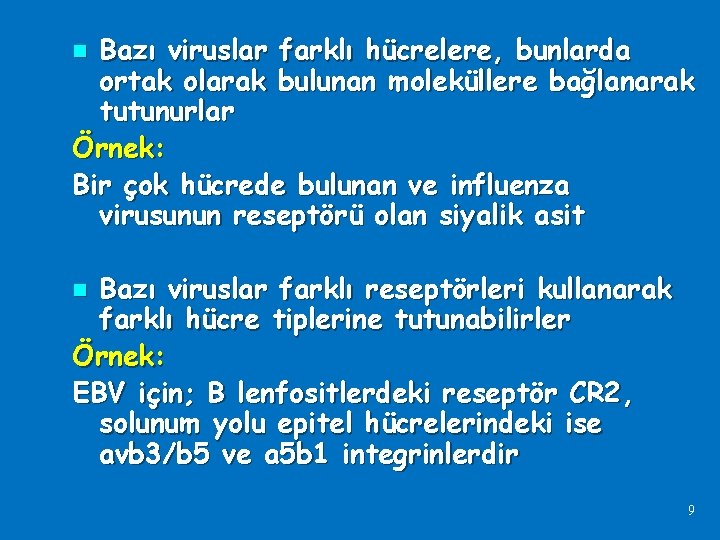 Bazı viruslar farklı hücrelere, bunlarda ortak olarak bulunan moleküllere bağlanarak tutunurlar Örnek: Bir çok