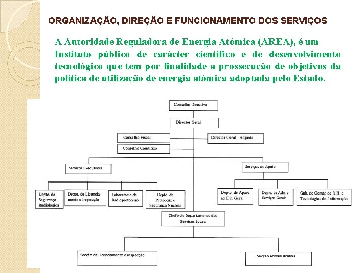 ORGANIZAÇÃO, DIREÇÃO E FUNCIONAMENTO DOS SERVIÇOS A Autoridade Reguladora de Energia Atómica (AREA), é