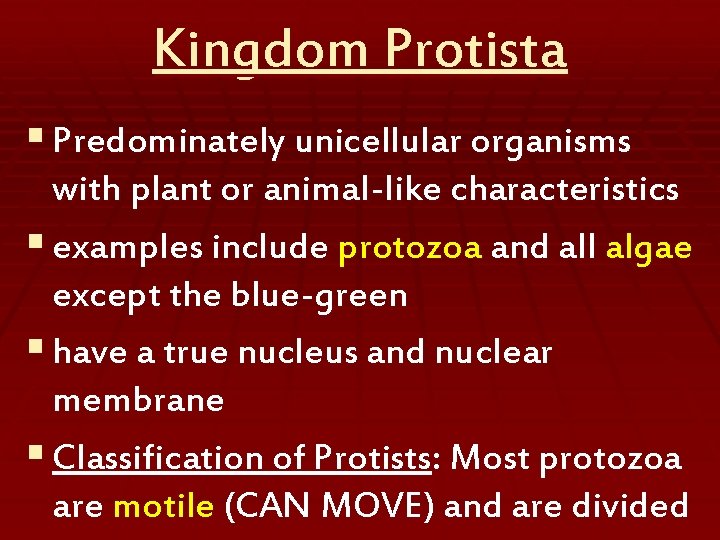 Kingdom Protista § Predominately unicellular organisms with plant or animal-like characteristics § examples include