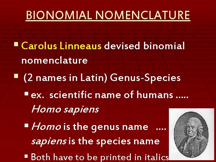 BIONOMIAL NOMENCLATURE § Carolus Linneaus devised binomial nomenclature § (2 names in Latin) Genus-Species