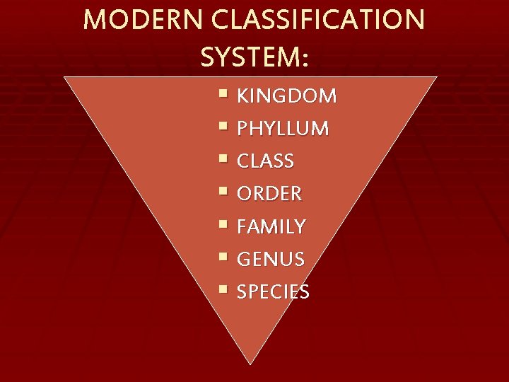 MODERN CLASSIFICATION SYSTEM: § KINGDOM § PHYLLUM § CLASS § ORDER § FAMILY §