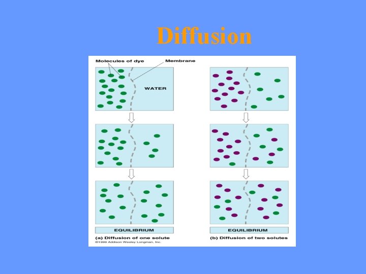 Diffusion 