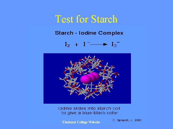 Test for Starch Elmhurst College Website 