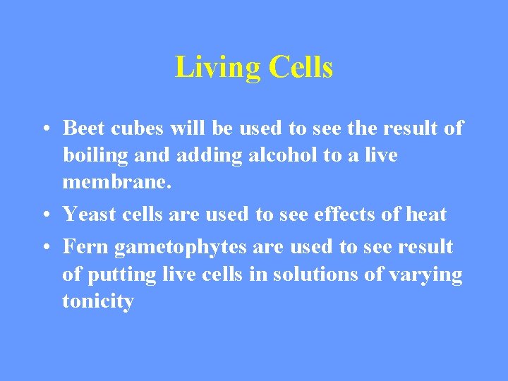 Living Cells • Beet cubes will be used to see the result of boiling