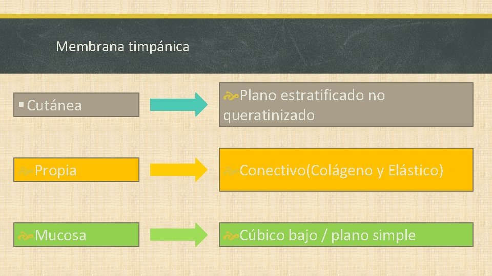 Membrana timpánica § Cutánea Plano estratificado no queratinizado Propia Conectivo(Colágeno y Elástico) Mucosa Cúbico