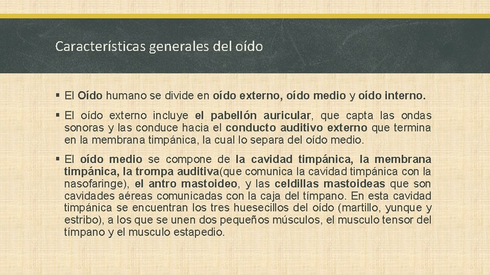 Características generales del oído § El Oído humano se divide en oído externo, oído