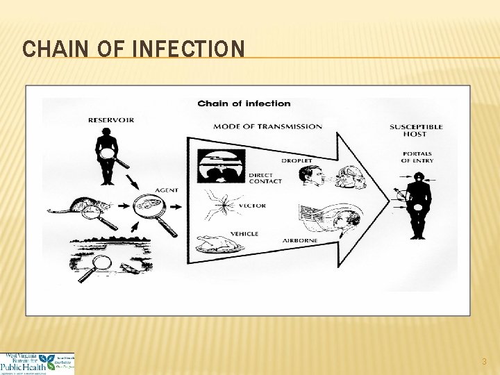 CHAIN OF INFECTION 3 