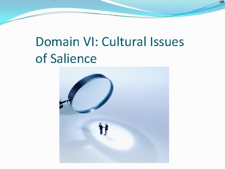 168 Domain VI: Cultural Issues of Salience 