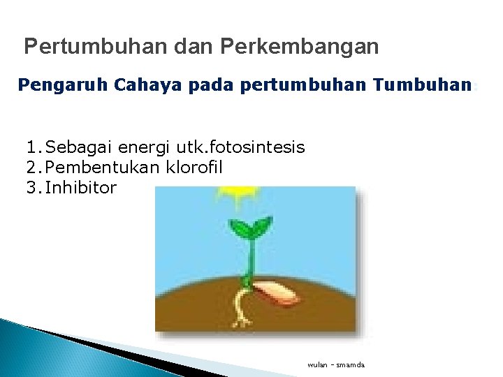Pertumbuhan dan Perkembangan Pengaruh Cahaya pada pertumbuhan Tumbuhan: 1. Sebagai energi utk. fotosintesis 2.