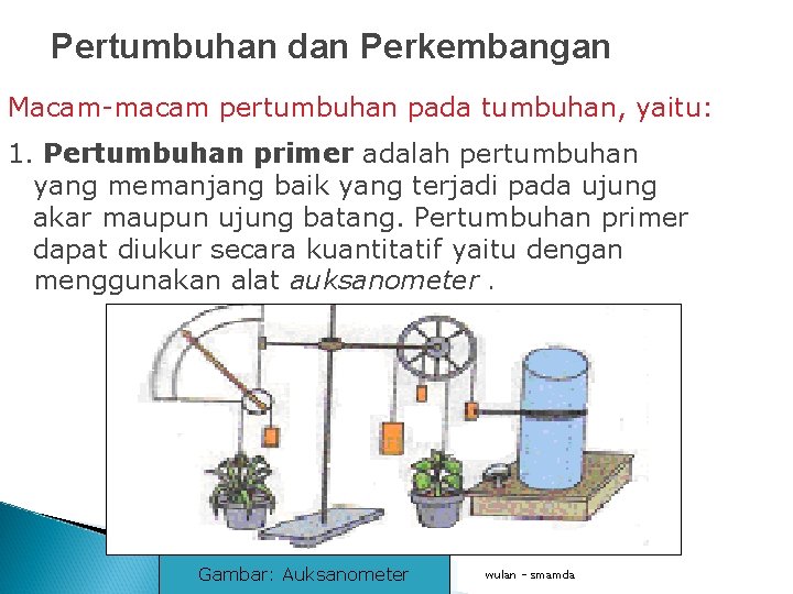 Pertumbuhan dan Perkembangan Macam-macam pertumbuhan pada tumbuhan, yaitu: 1. Pertumbuhan primer adalah pertumbuhan yang