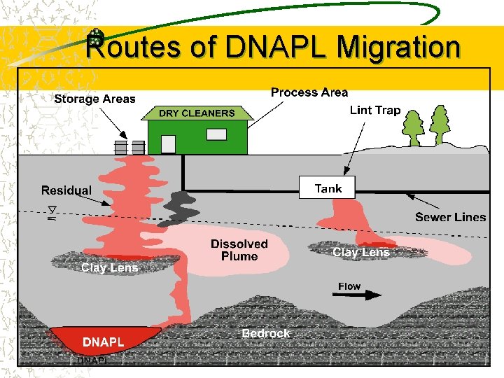 Routes of DNAPL Migration 