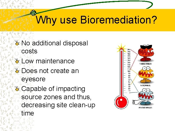 Why use Bioremediation? No additional disposal costs Low maintenance Does not create an eyesore