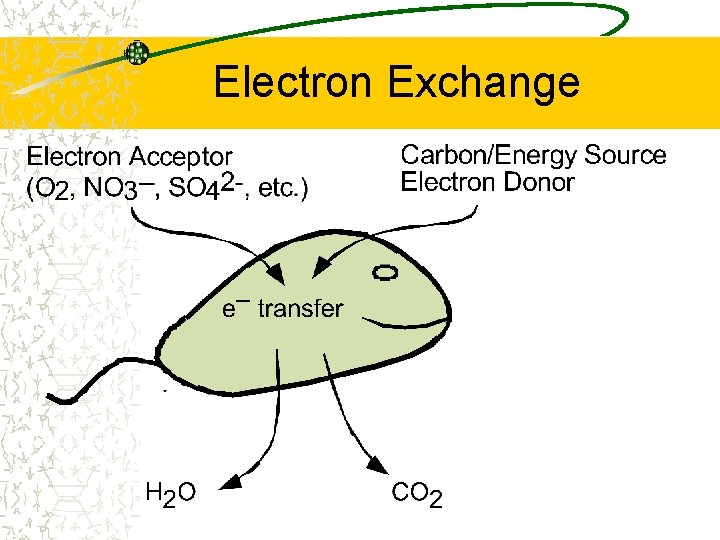 Electron Exchange 