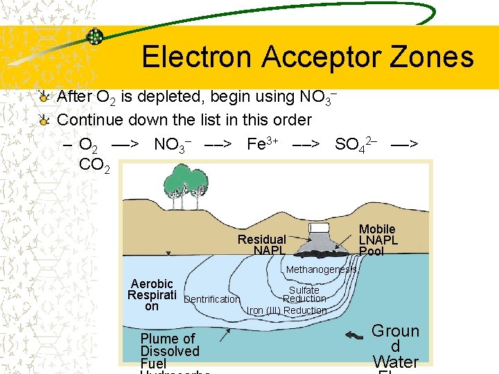 Electron Acceptor Zones After O 2 is depleted, begin using NO 3– Continue down