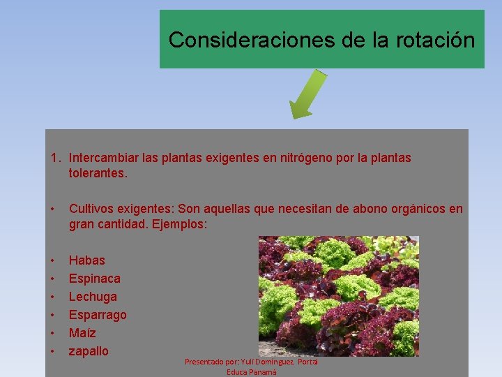 Consideraciones de la rotación 1. Intercambiar las plantas exigentes en nitrógeno por la plantas