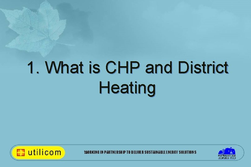 1. What is CHP and District Heating WORKING IN PARTNERSHIP TO DELIVER SUSTAINABLE ENERGY