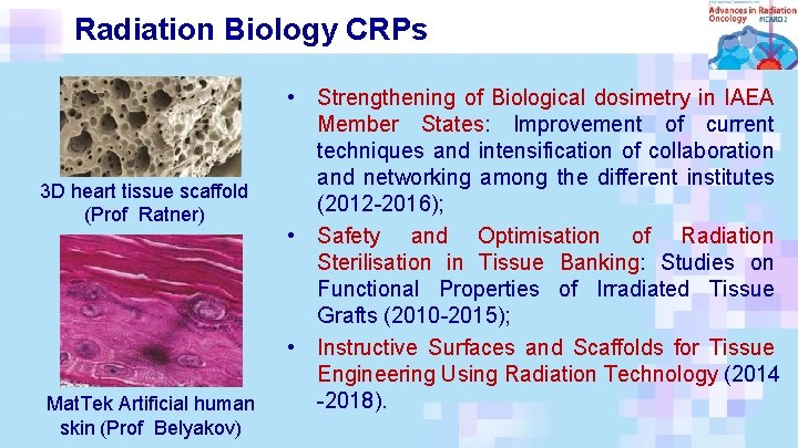 Radiation Biology CRPs 3 D heart tissue scaffold (Prof Ratner) Mat. Tek Artificial human