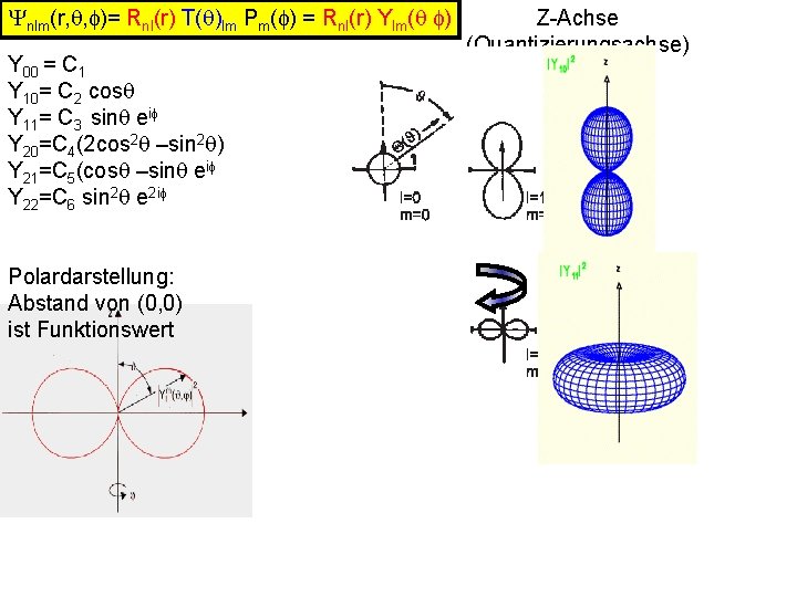 Ynlm(r, q, f)= Rnl(r) T(q)lm Pm(f) = Rnl(r) Ylm(q f) Y 00 = C