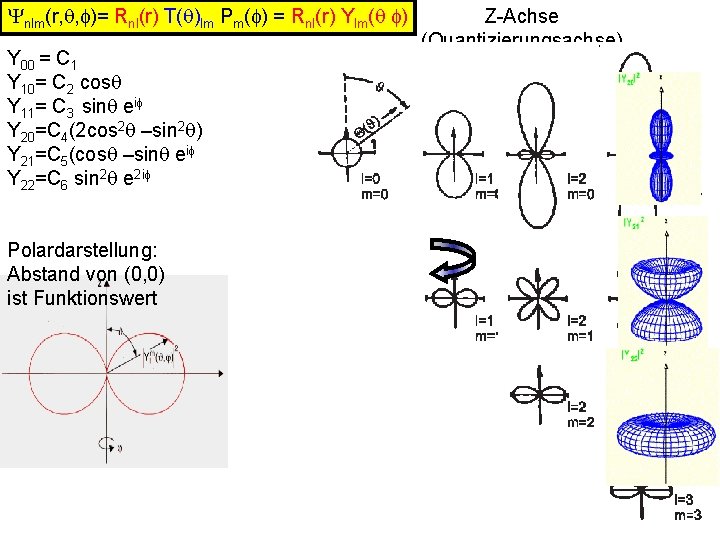 Ynlm(r, q, f)= Rnl(r) T(q)lm Pm(f) = Rnl(r) Ylm(q f) Y 00 = C