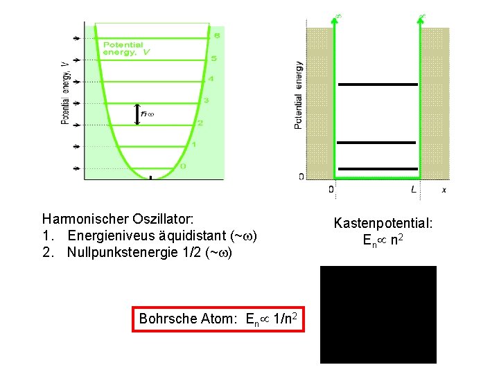 Harmonischer Oszillator: 1. Energieniveus äquidistant (~w) 2. Nullpunkstenergie 1/2 (~w) Bohrsche Atom: En 1/n