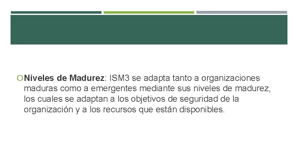  Niveles de Madurez: ISM 3 se adapta tanto a organizaciones maduras como a