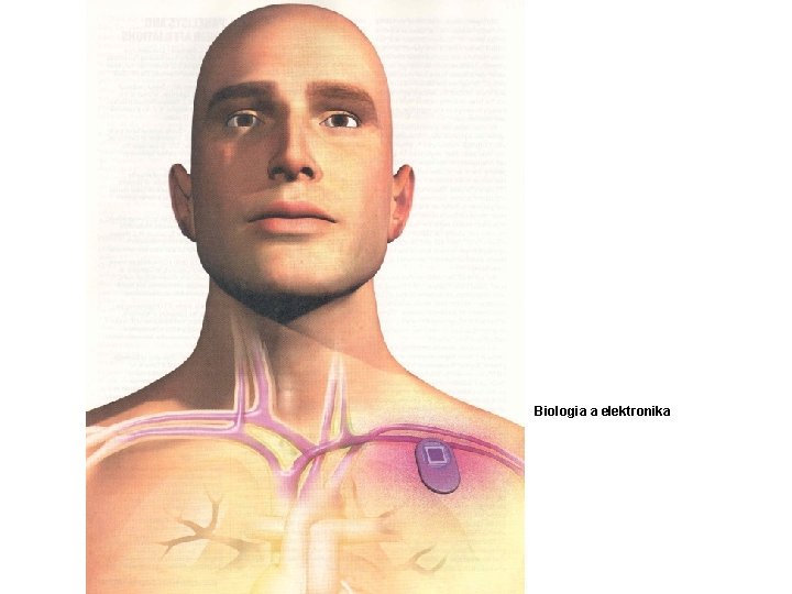 Biologia a elektronika 