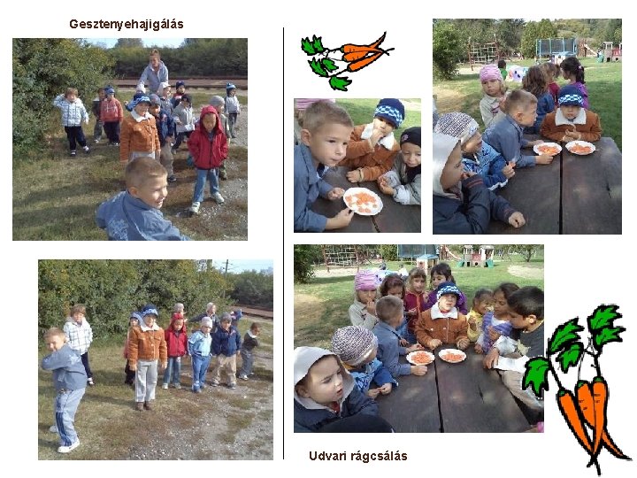 Gesztenyehajigálás Udvari rágcsálás Gesztenyehajigálás Udvari rágcsálás
