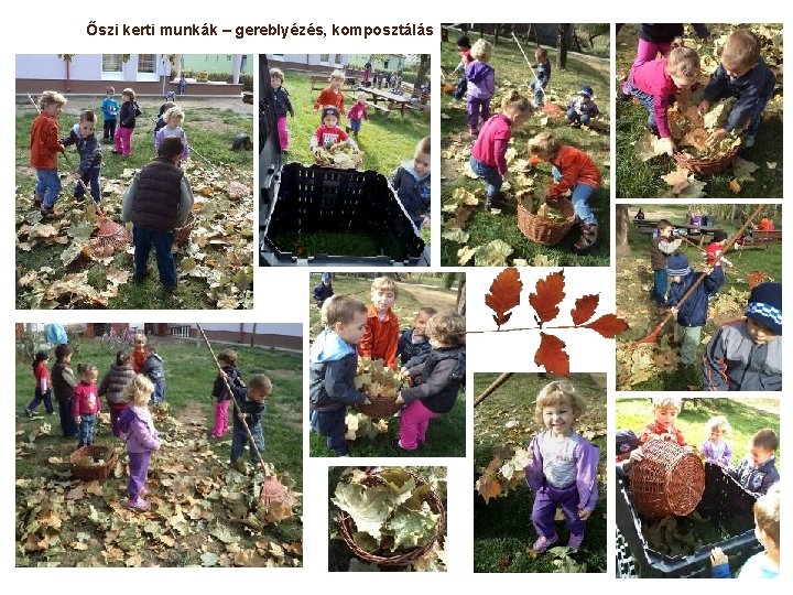 Őszi kerti munkák – gereblyézés, komposztálás Őszi kerti munkák – gereblyézés, komposztálás