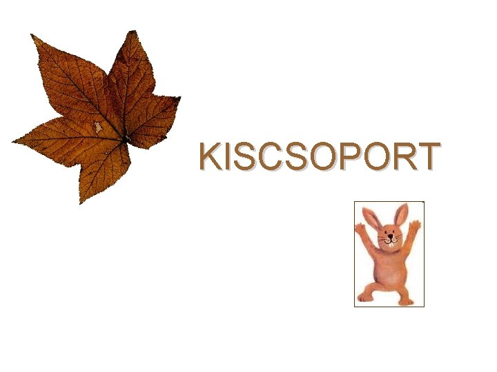 KISCSOPORT KISCSOPORT