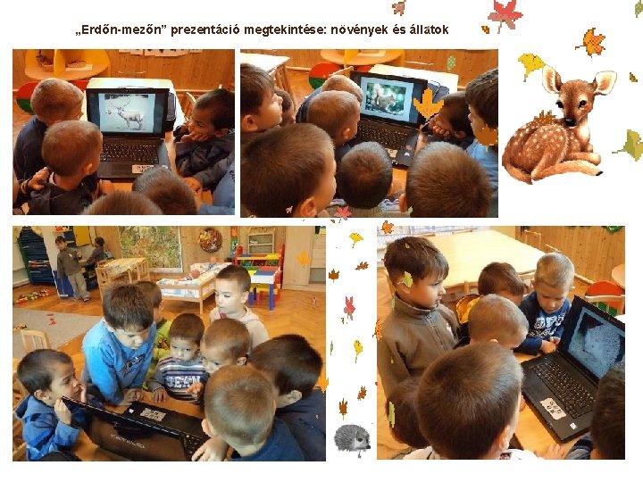 „Erdőn-mezőn” prezentáció megtekintése: növények és állatok „Erdőn-mezőn” prezentáció megtekintése: növények és állatok