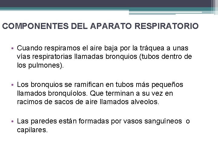 COMPONENTES DEL APARATO RESPIRATORIO • Cuando respiramos el aire baja por la tráquea a