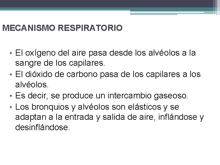 MECANISMO RESPIRATORIO • El oxígeno del aire pasa desde los alvéolos a la sangre