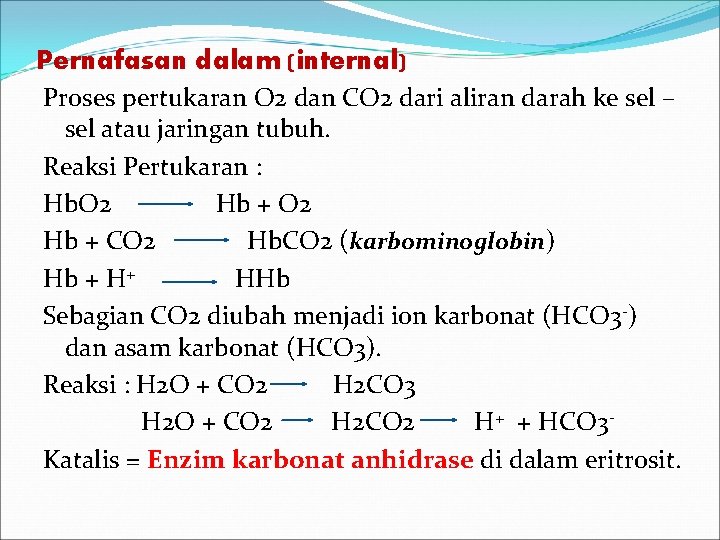 Pernafasan dalam (internal) Proses pertukaran O 2 dan CO 2 dari aliran darah ke
