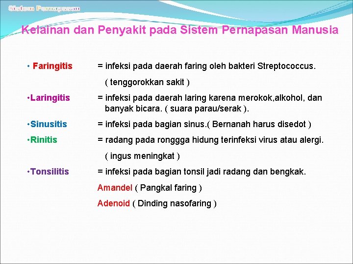Kelainan dan Penyakit pada Sistem Pernapasan Manusia • Faringitis = infeksi pada daerah faring