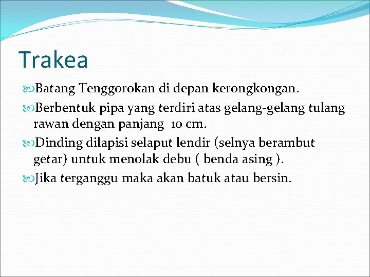 Trakea Batang Tenggorokan di depan kerongkongan. Berbentuk pipa yang terdiri atas gelang-gelang tulang rawan