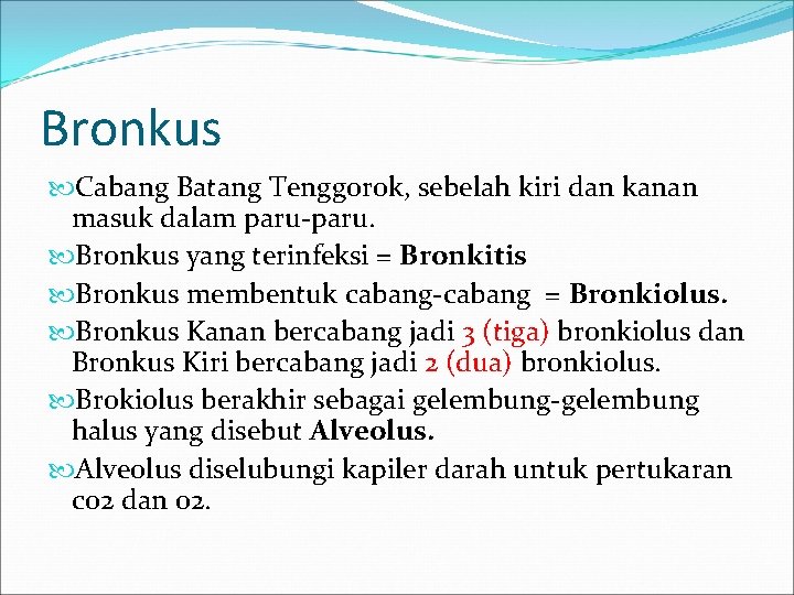 Bronkus Cabang Batang Tenggorok, sebelah kiri dan kanan masuk dalam paru-paru. Bronkus yang terinfeksi